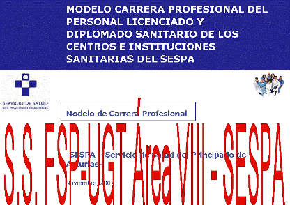 20071126153603-copia-de-modelo-carrera-profesional-vdef-161107.gif